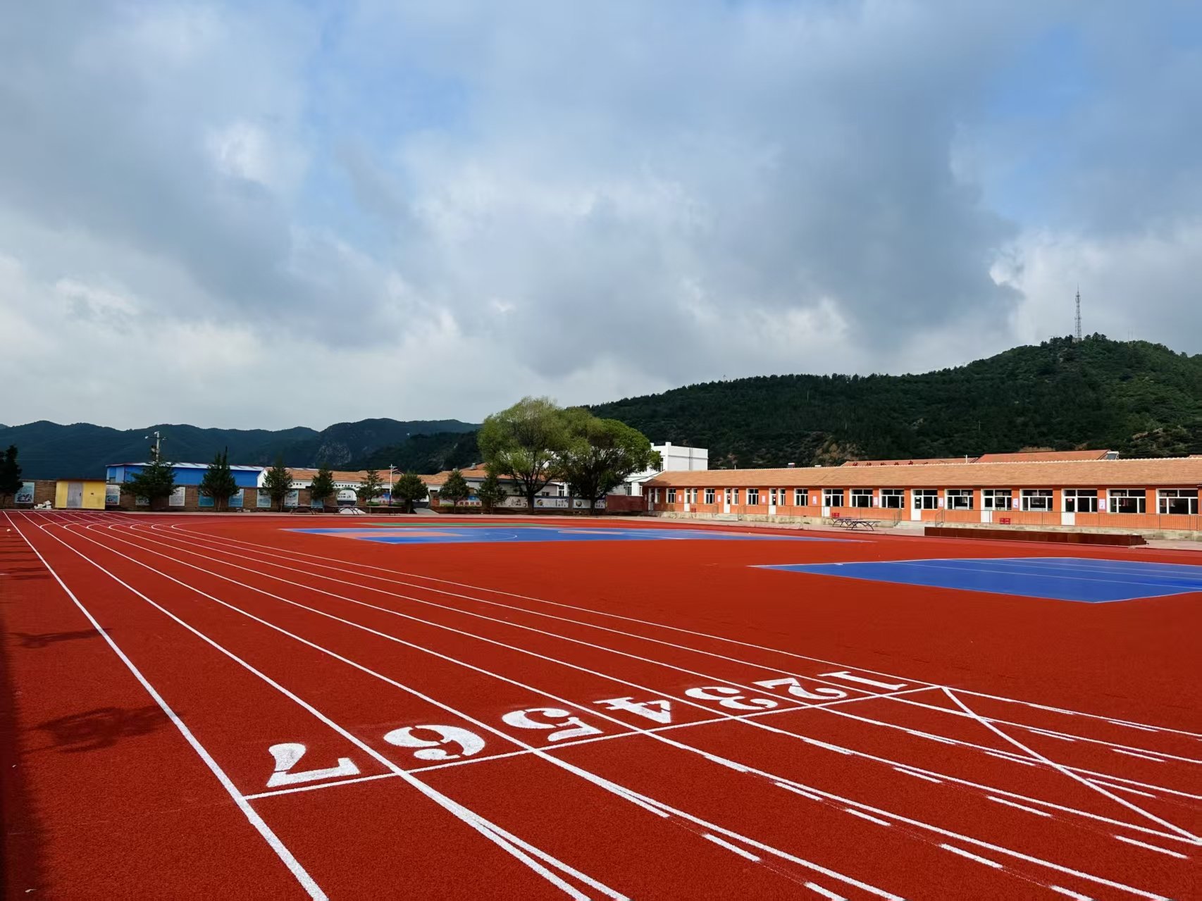 莱芜市自结纹塑胶跑道硅PU材料 - 厂家